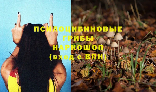 mix Абаза